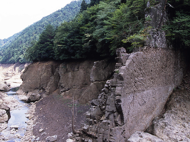 渇水により現れた鳳来湖の安山岩岩脈(加藤貞亨氏提供)