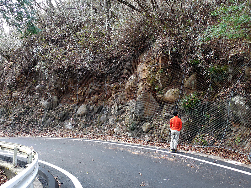 県道沿いに露出する巨礫岩層