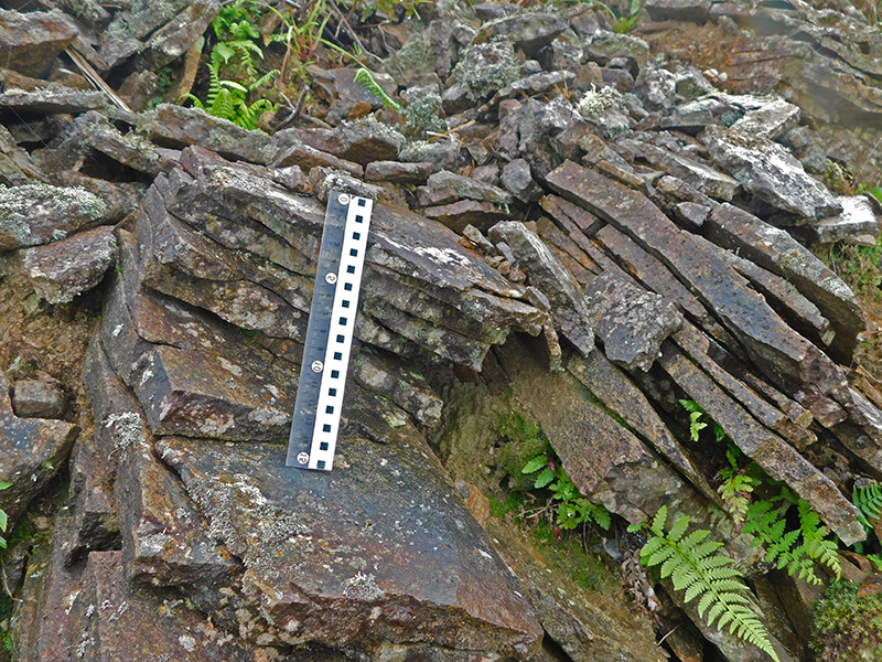 板状節理の発達した安山岩溶岩の露出
