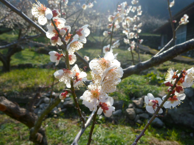 川売3