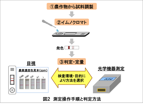 測定操作手順と判定方法