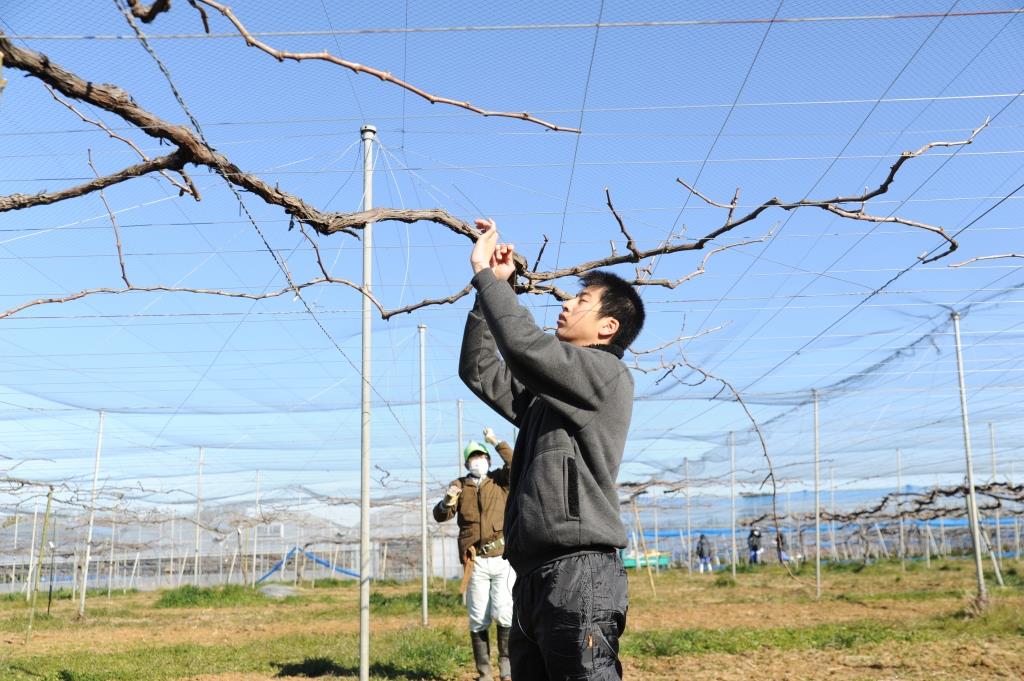 鋼線を通す作業中の専攻生