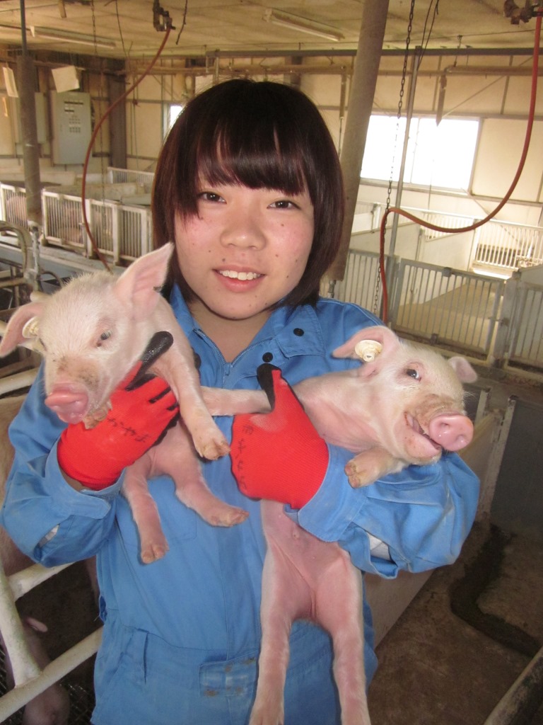 子豚を抱く女子学生