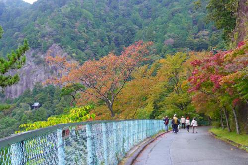 色づき始めた紅葉