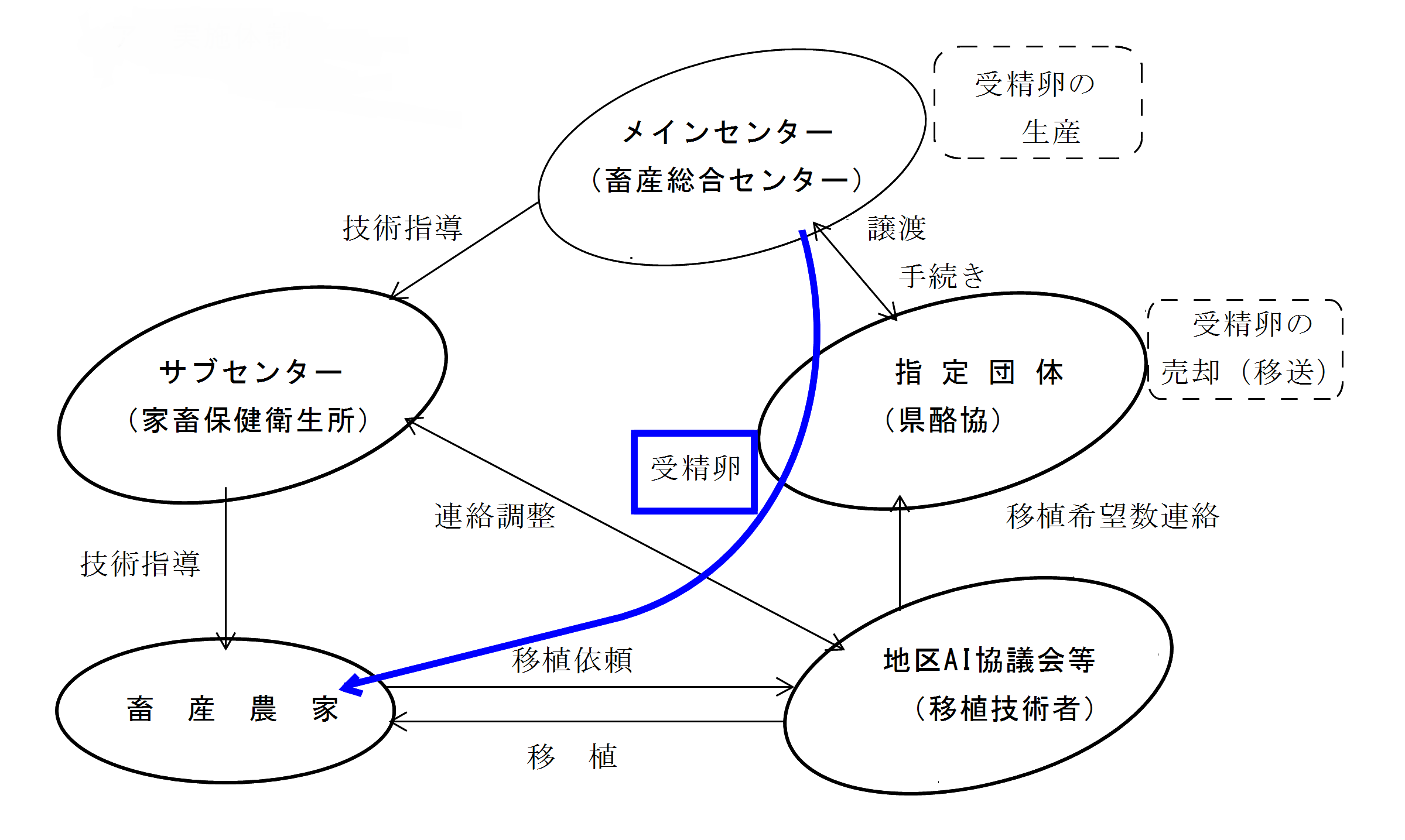 和牛受精卵事業フロー図