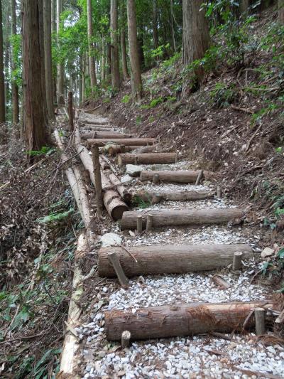 遊歩道の様子