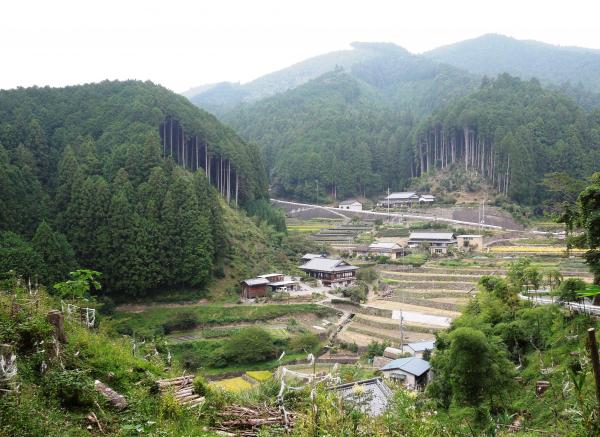 島田の棚田東側斜面から