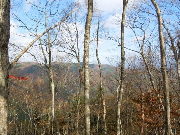 長野県側の景色