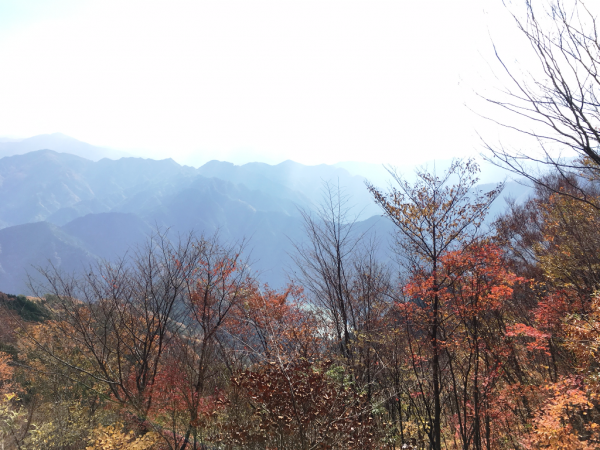 東又峠付近からの景色