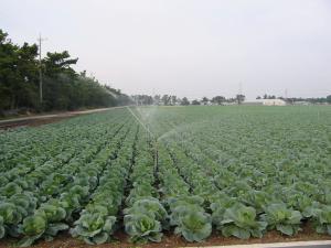 スプリンクラーによる畑地かんがい