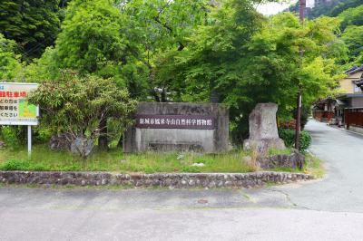 鳳来寺山自然科学博物館