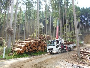 開設による森林整備の合理化の促進