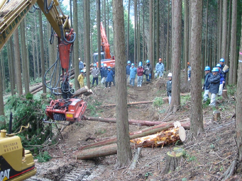 高性能林業機械による低コスト木材生産の実演会の写真
