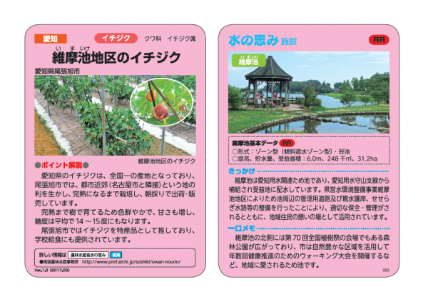 維摩池のイチジク