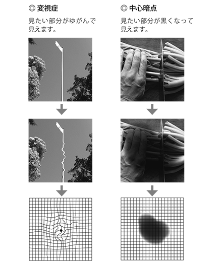 日本眼科医会-4