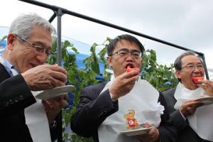 「豊川バイオマスパーク」トマト収穫記念式の開催