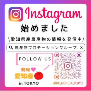 Instagramの紹介