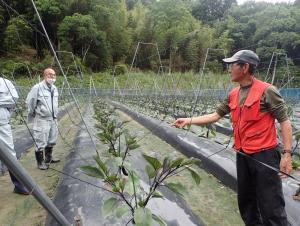 生育状況を確認