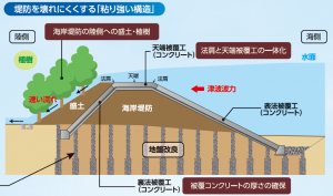 海岸堤防の整備（粘り強い構造）イメージ図