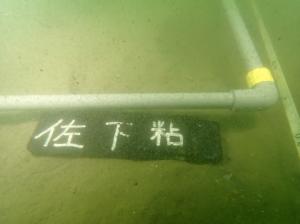 9月、粘土法、佐久島、ー3