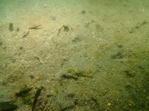 9月、コロイダルシリカ法、佐久島、ー2