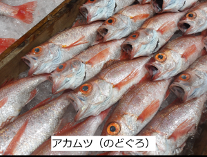 アカムツ（のどぐろ）