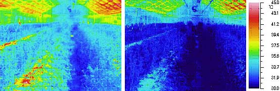 ミストファンによるバラ温室内の温度分布