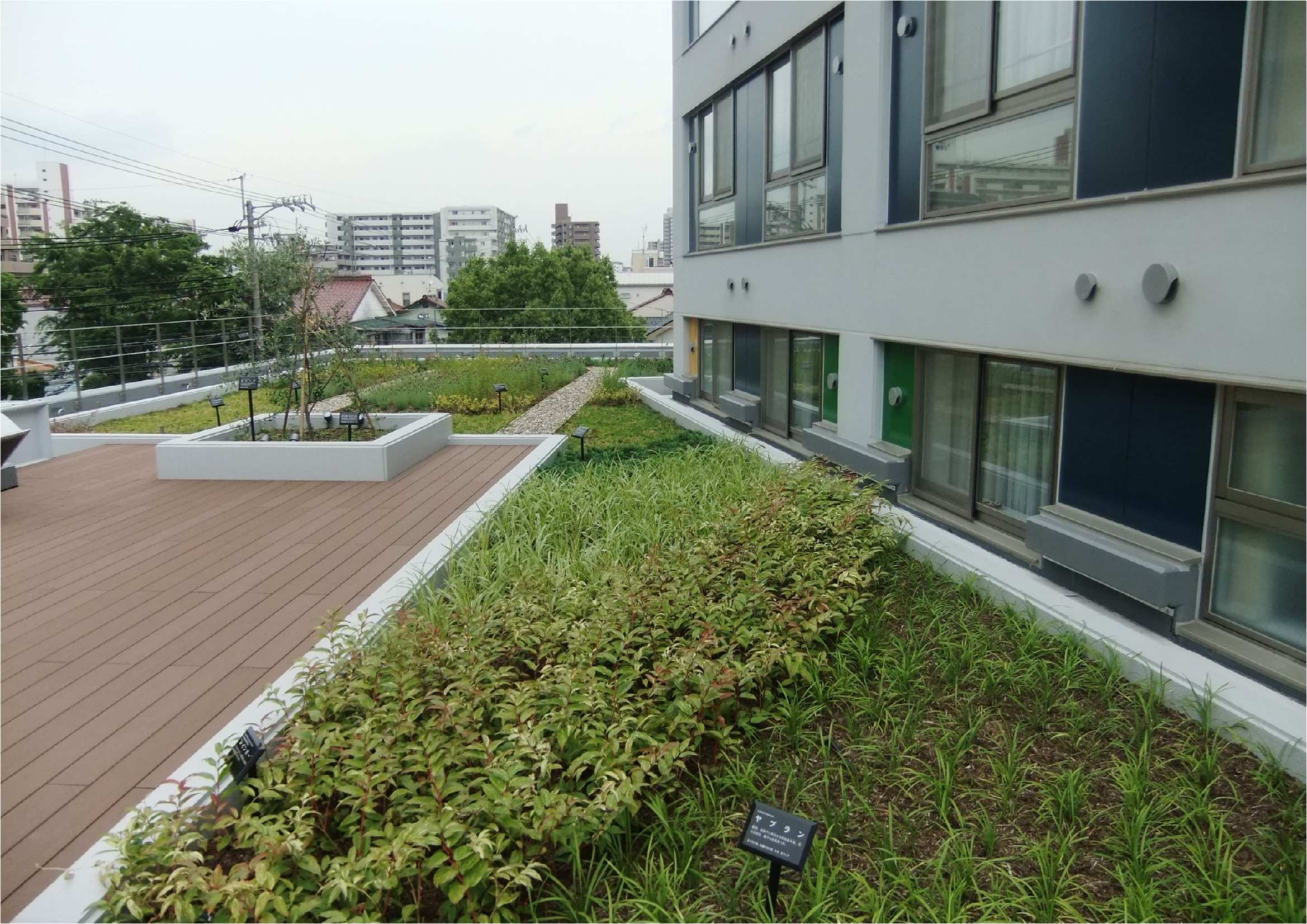 屋上緑化（名古屋市）