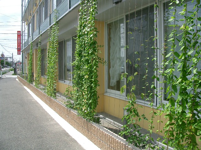 壁面緑化（刈谷市）