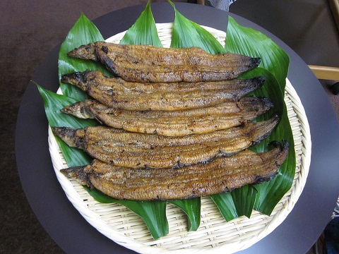 うなぎ蒲焼き