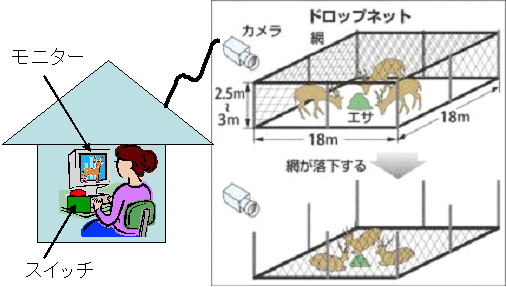 図　ドロップネットのイメージ図（部屋からわなの映像を見てリモコンで網を落とす）