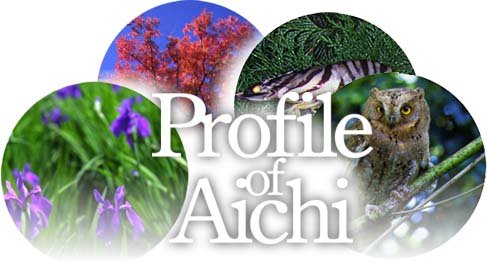 Profile of Aichi image