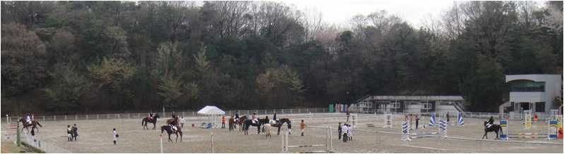 乗馬競技会の写真です。
