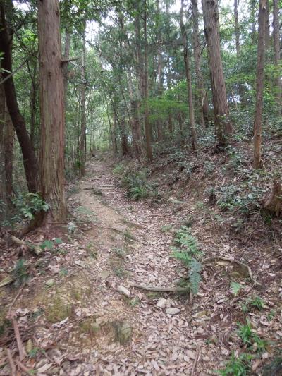 宇利城跡に続く道