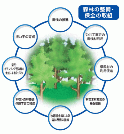 森林の整備・保全の取組