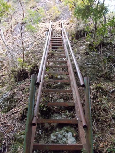 岩古谷山登山道の鉄のはしご