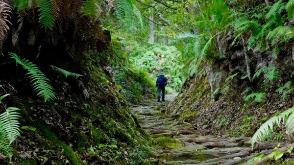 熊野古道