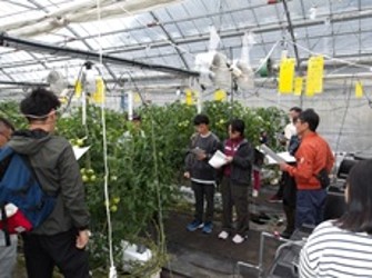 山間農業研究所の試験ハウスを見学