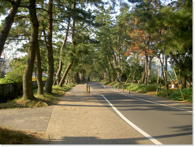 御油町（ごゆちょう）（御油宿）