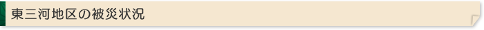 東三河地区の被災状況