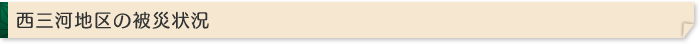 西三河地区の被災状況