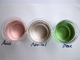 pHによる枝豆のゆで汁の変色の違い
