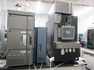 �t�̃N���}�g�O���t/�^���f�����ʕ��͌v�iLC-MS/MS�j