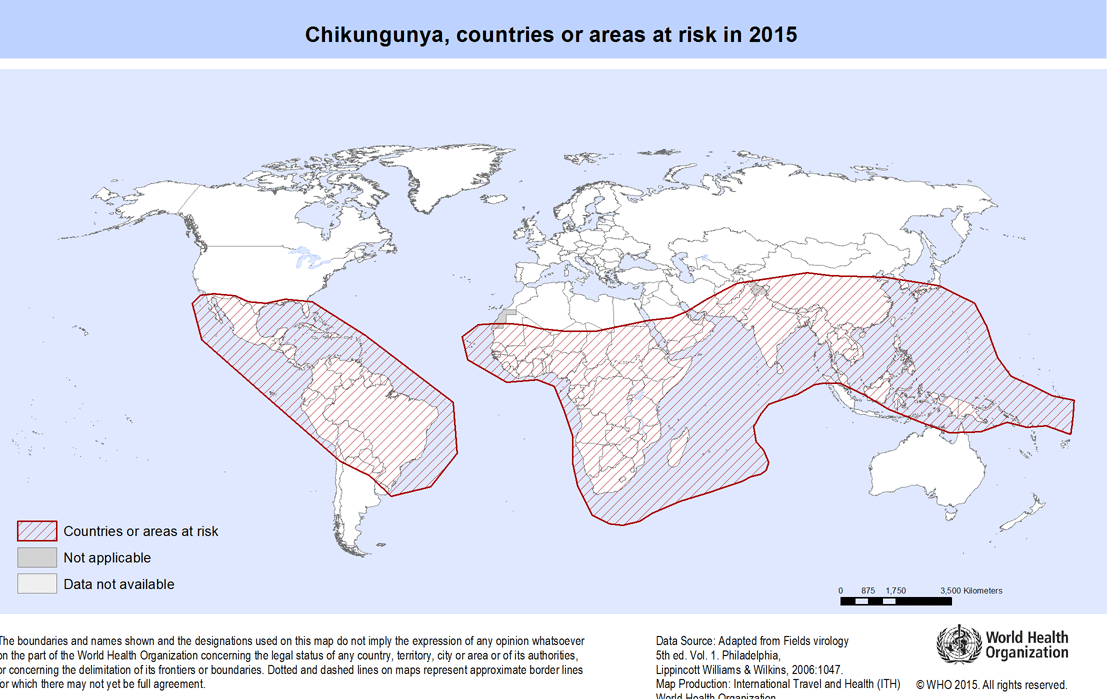 チクングニアの感染リスクがある地域の地図