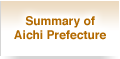 Summary of Aichi Prefecture