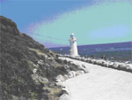 伊良湖港海岸