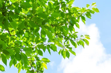 運営協議会について