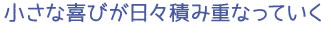 小さな喜びが日々積み重なっていく