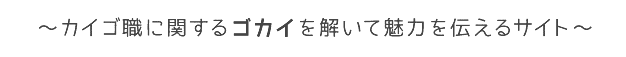 ～カイゴ職に関するゴカイを解いて魅力を伝えるサイト～