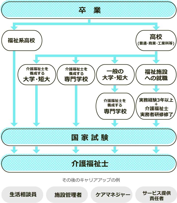 主な進路